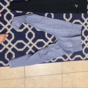 Gym shark leggings